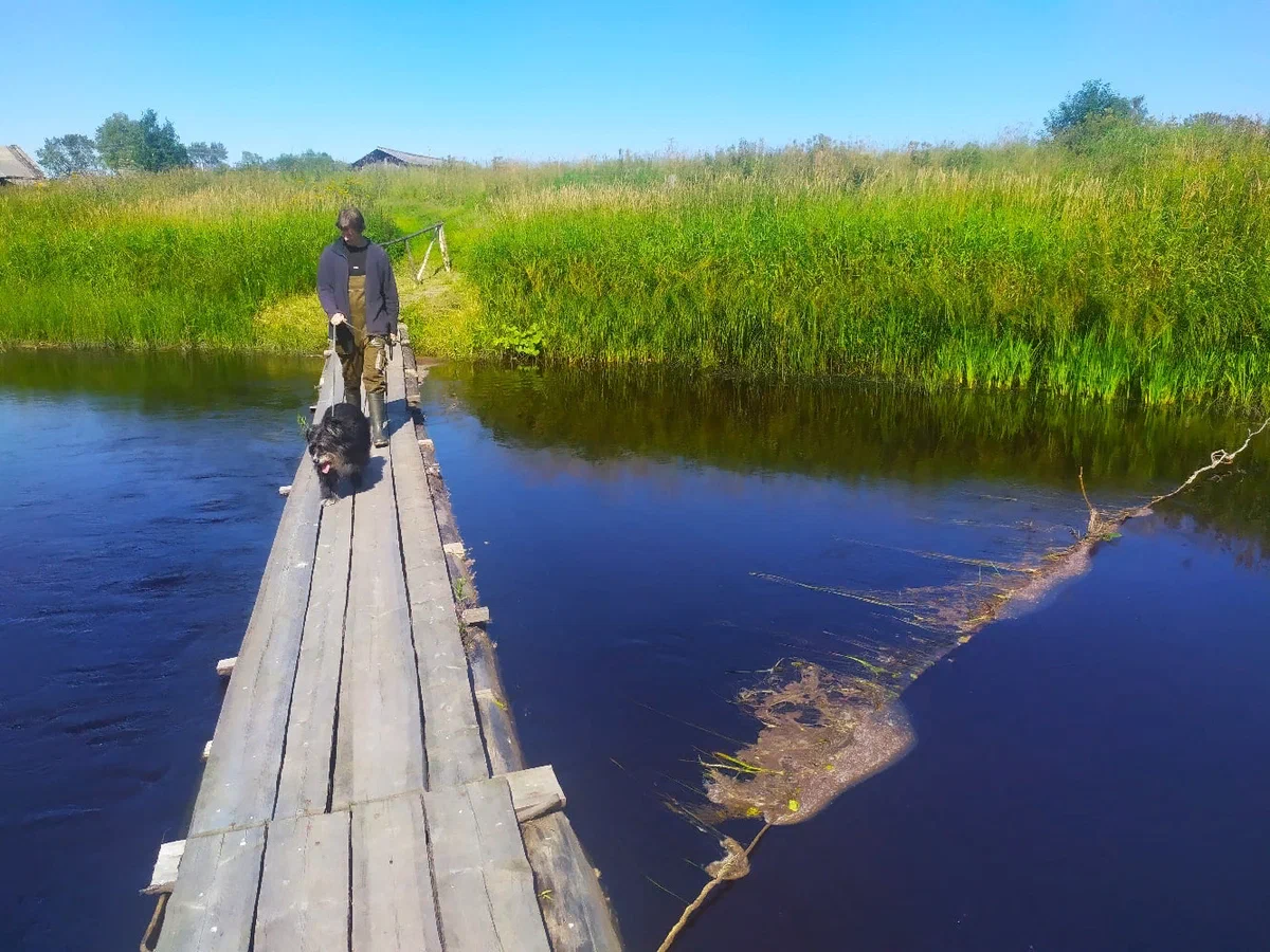 Полуторный комплект постельного белья 