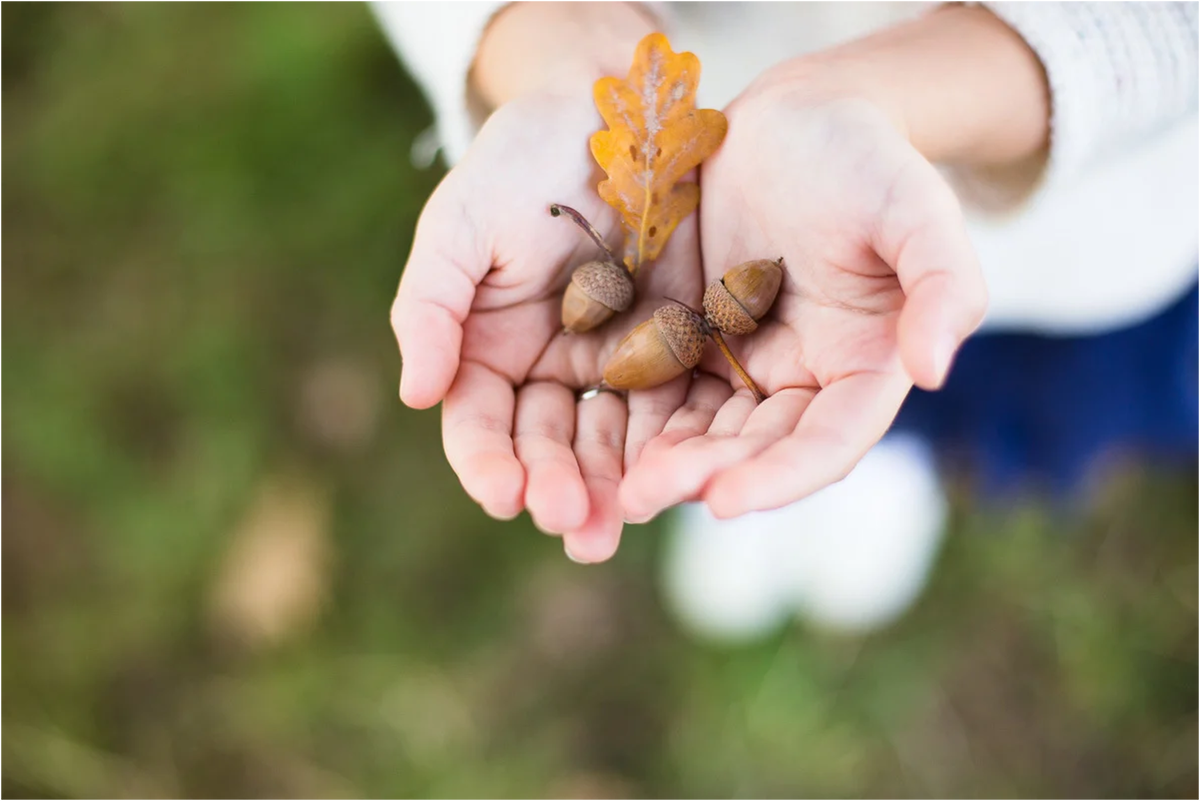 Ну разве не прелесть?)