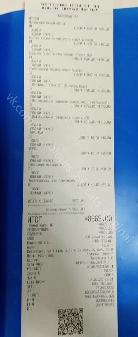 © ВСЕ ОТТЕНКИ КОШАЧЬЕГО. Оплата приема и анализов.