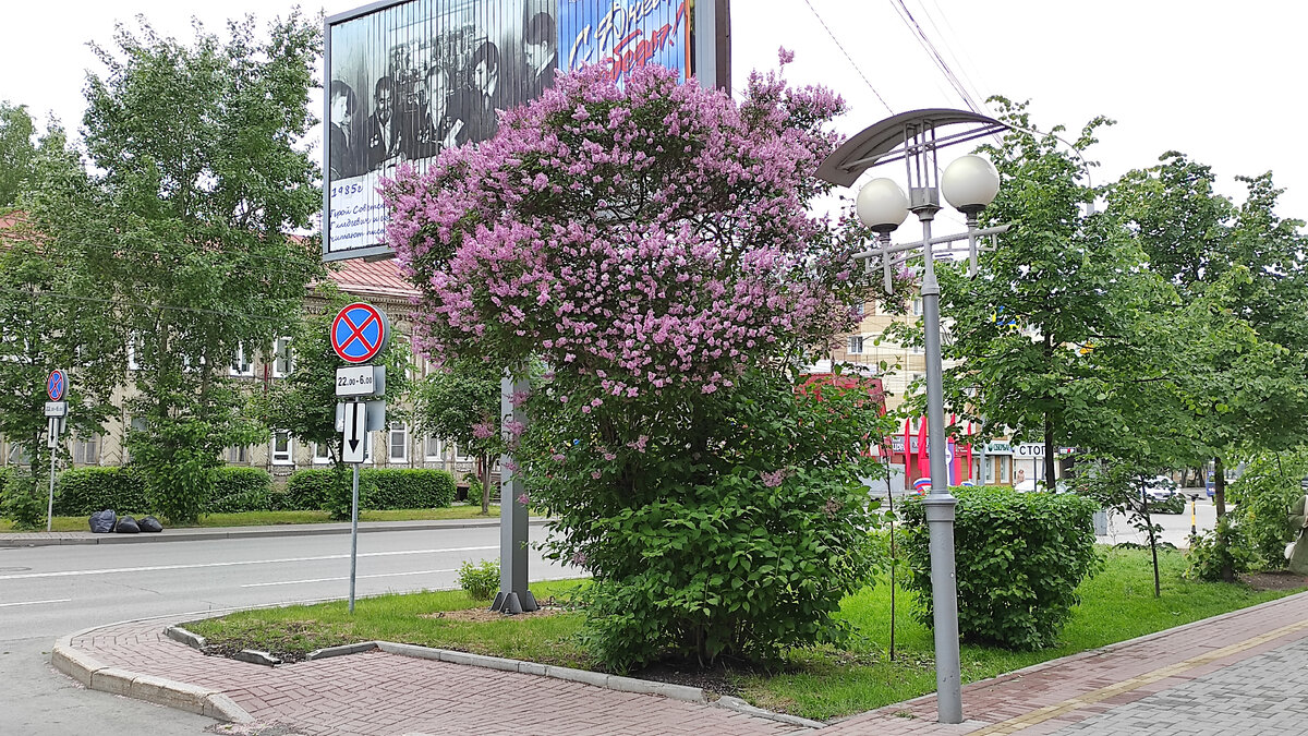 Томск - инструкция по городу. Что посмотреть в 