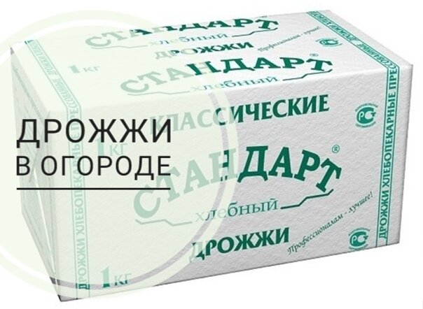 ДРОЖЖИ КАК УДОБРЕНИЕ МИФ ИЛИ РЕАЛЬНОСТЬ. 