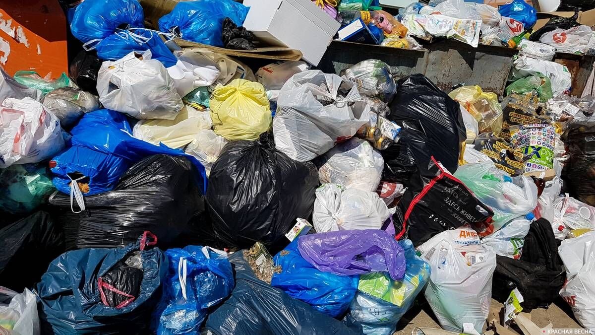 Покупать мусор или не покупать, вот в чём вопрос...