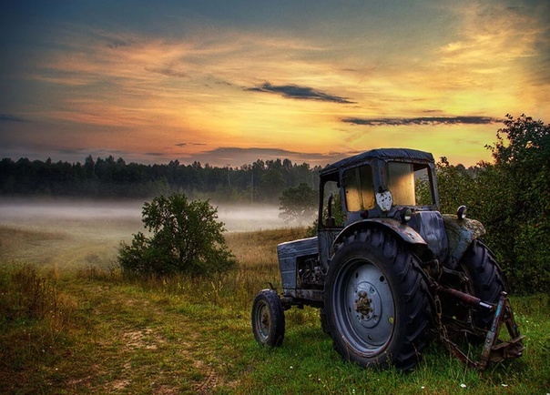 фото из интернета