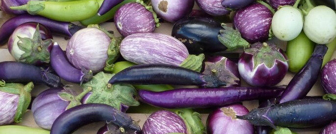 Всем буонджорно! Сегодня продолжаем гулять по итальянским рынкам.  Как ярый фанат фиолетового цвета, могу сказать, что Италия - это просто рай для таких людей как я, особенно, что касается овощей!-2