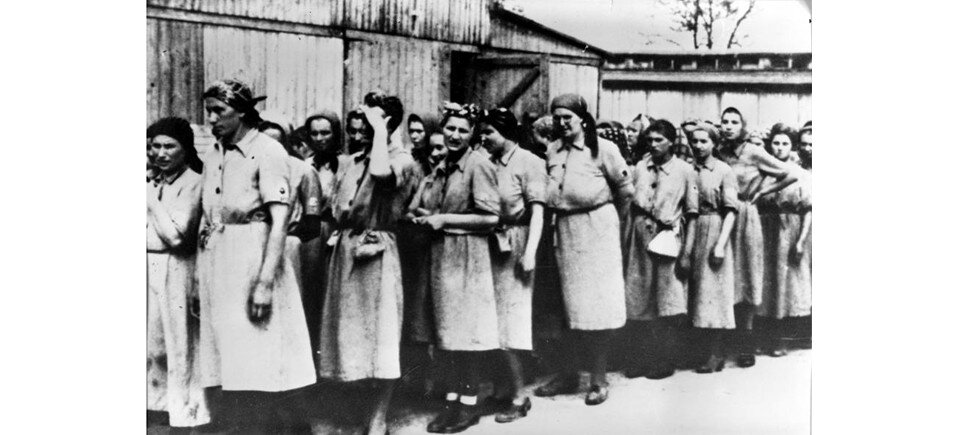 Лагерь Равенсбрюк женщины  борделя