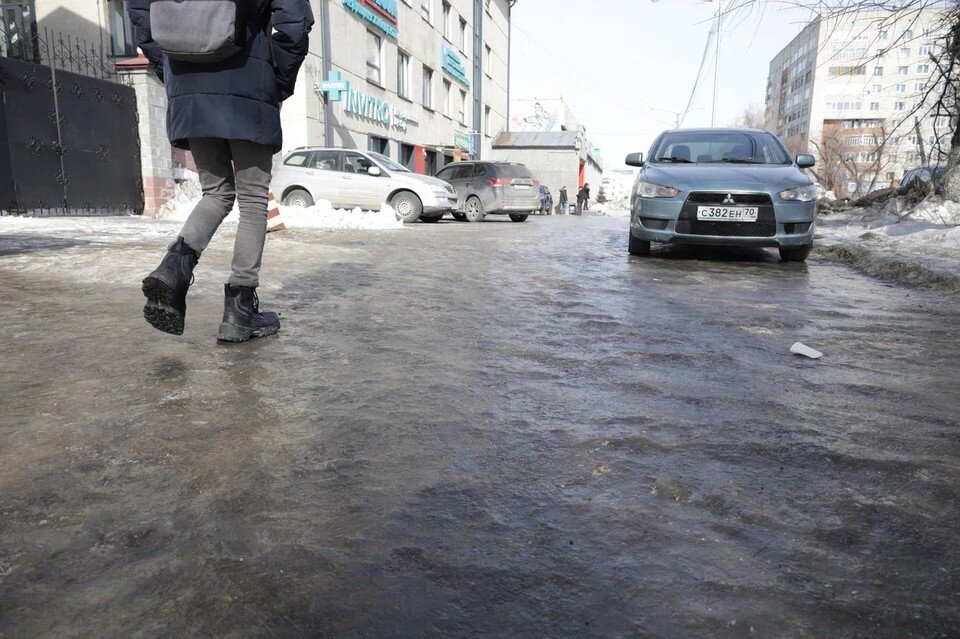   Ксения Высотина