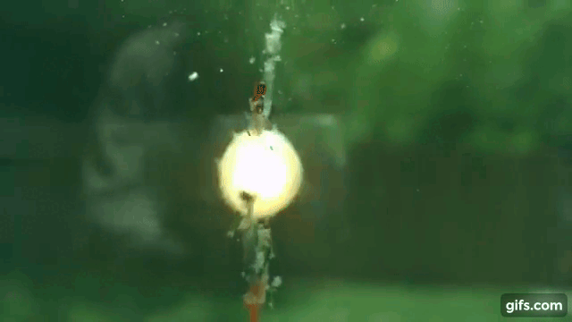 Посмотрите на это еще раз, энергия сжатия рождает то, что потом может иметь все свойства частиц, а именно притягиваться и отталкиваться, вибрировать-пускать волны, иметь упругие и не упругие взаимодействия и много чего еще, что позже я Вам продемонстрирую в последующих статьях. Подписывайтесь чтоб не пропустить!!! :)