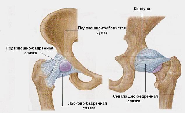 Фото яндекс картинки