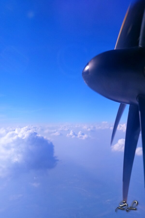 Жду  полёт в 2020 году