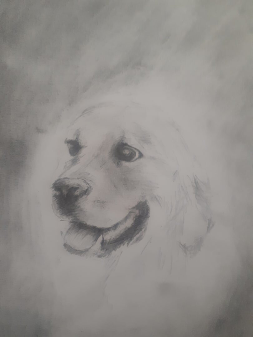 На рисунке Мешкова М.Н моя собака Моника