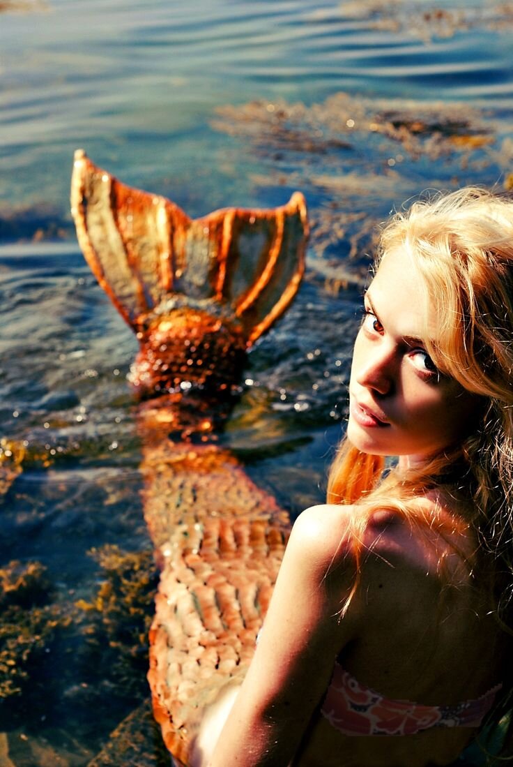 Фото взято из источников интернета 