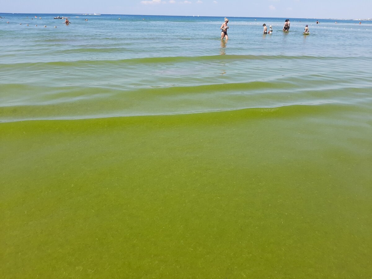 Черное море