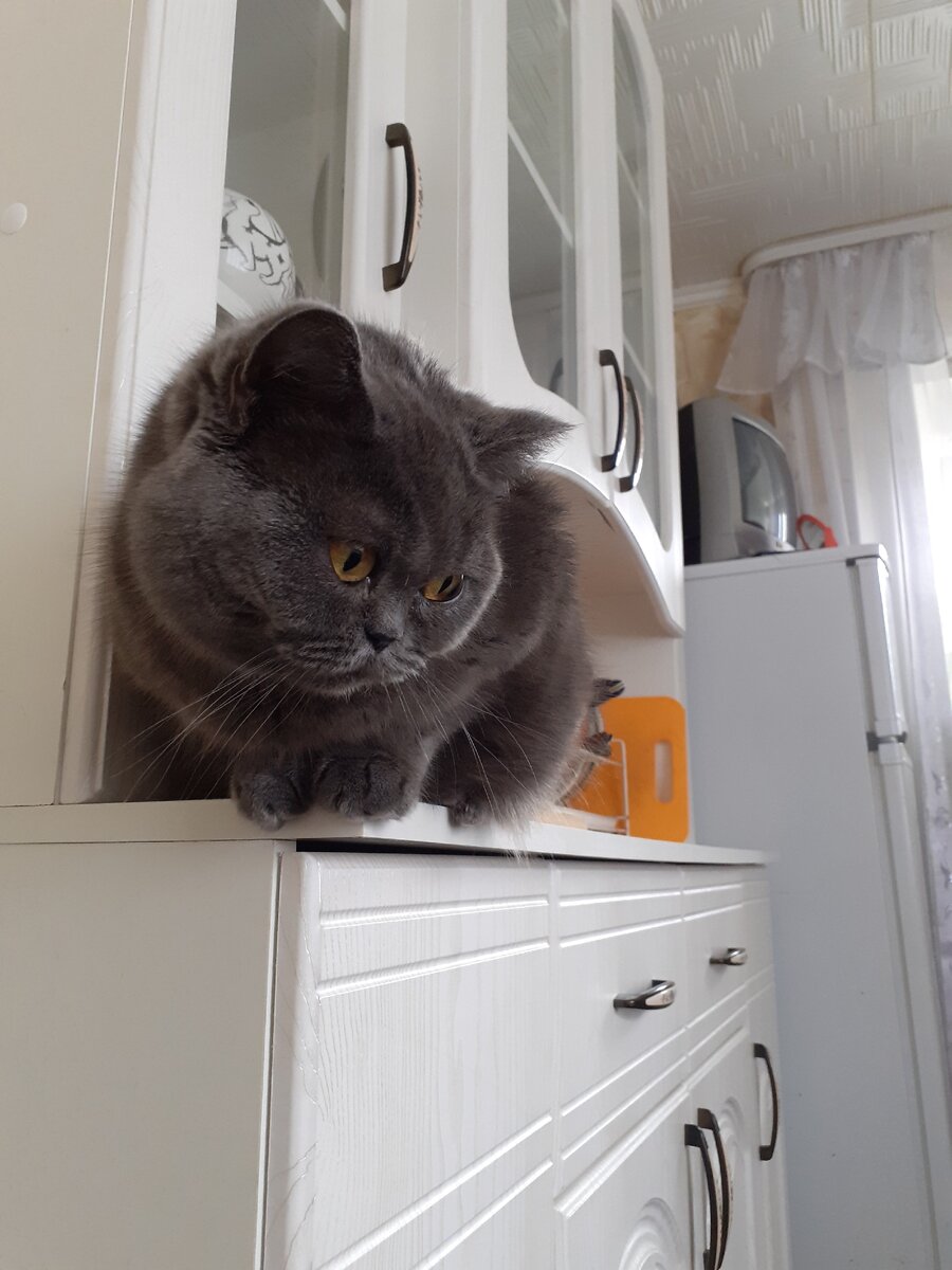 Фото из личного архива автора.