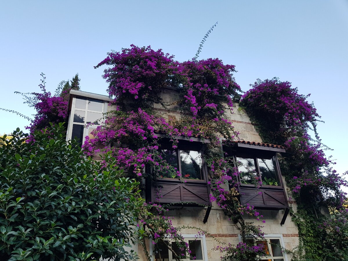 Фото автора.