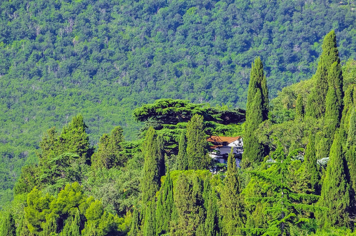 фото:pixabay.com