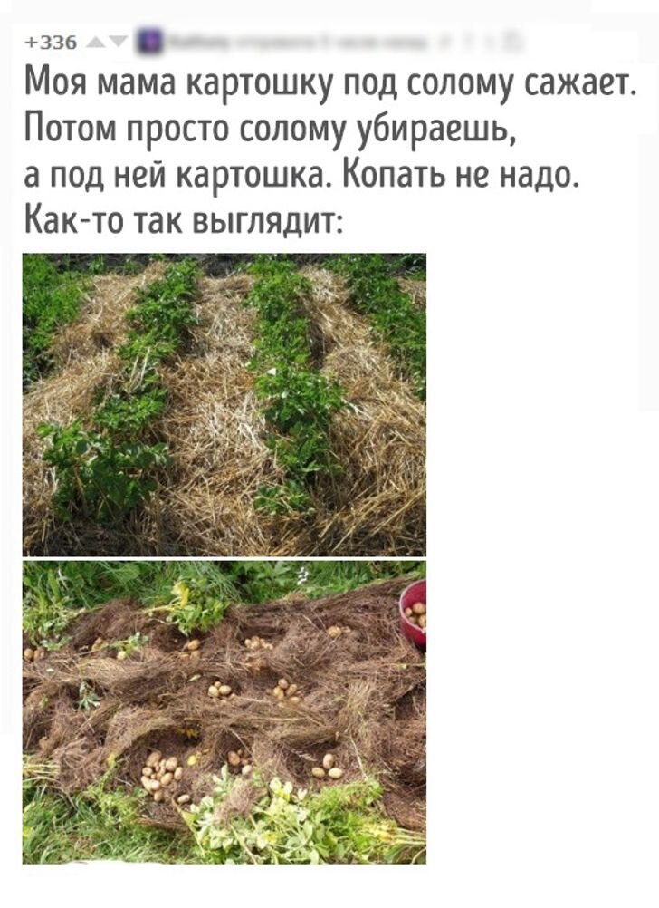 © pikabu.ruРЕКЛАМАРЕКЛАМА