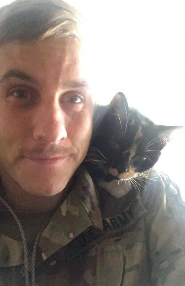 Друзья навеки