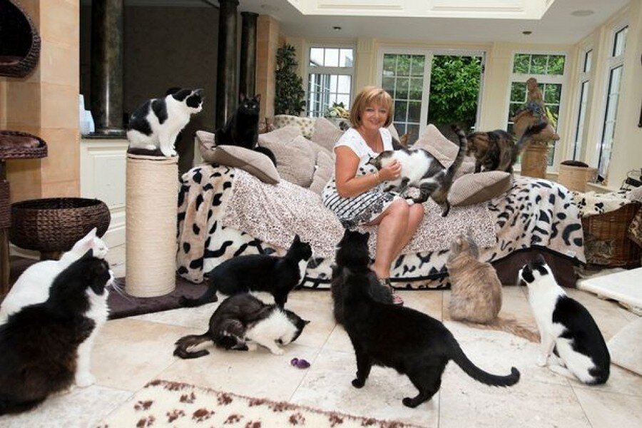 Среди различных мифов и легенд о межполовых отношениях существует и такая. Если молодая незамужняя женщина в срочном порядке не обзаведется мужчиной для обхаживания и обслуживания, то в старости (после сорока лет) она непременно окажется в окружении сорока котиков, в грязи и антисанитарии. И будет на своем лежбище «шептать в потолок бессильные проклятья вековому бабьему одиночеству».
