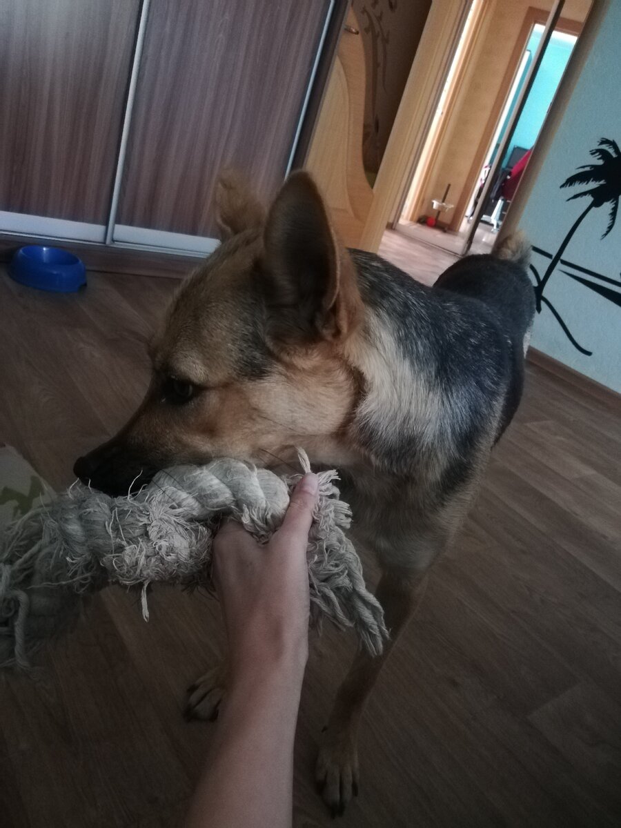 Вначале я пыталась играть с Джесси лежа