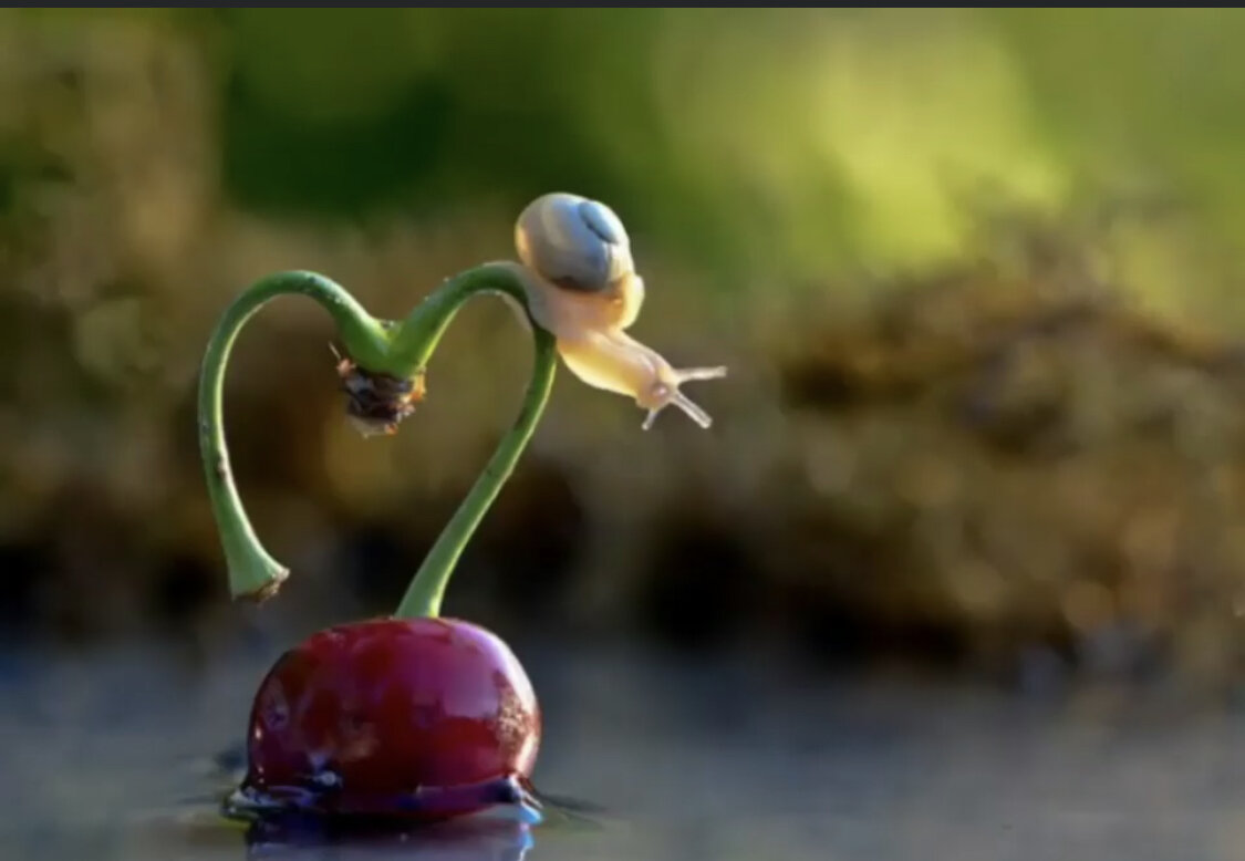 фото из личного архива