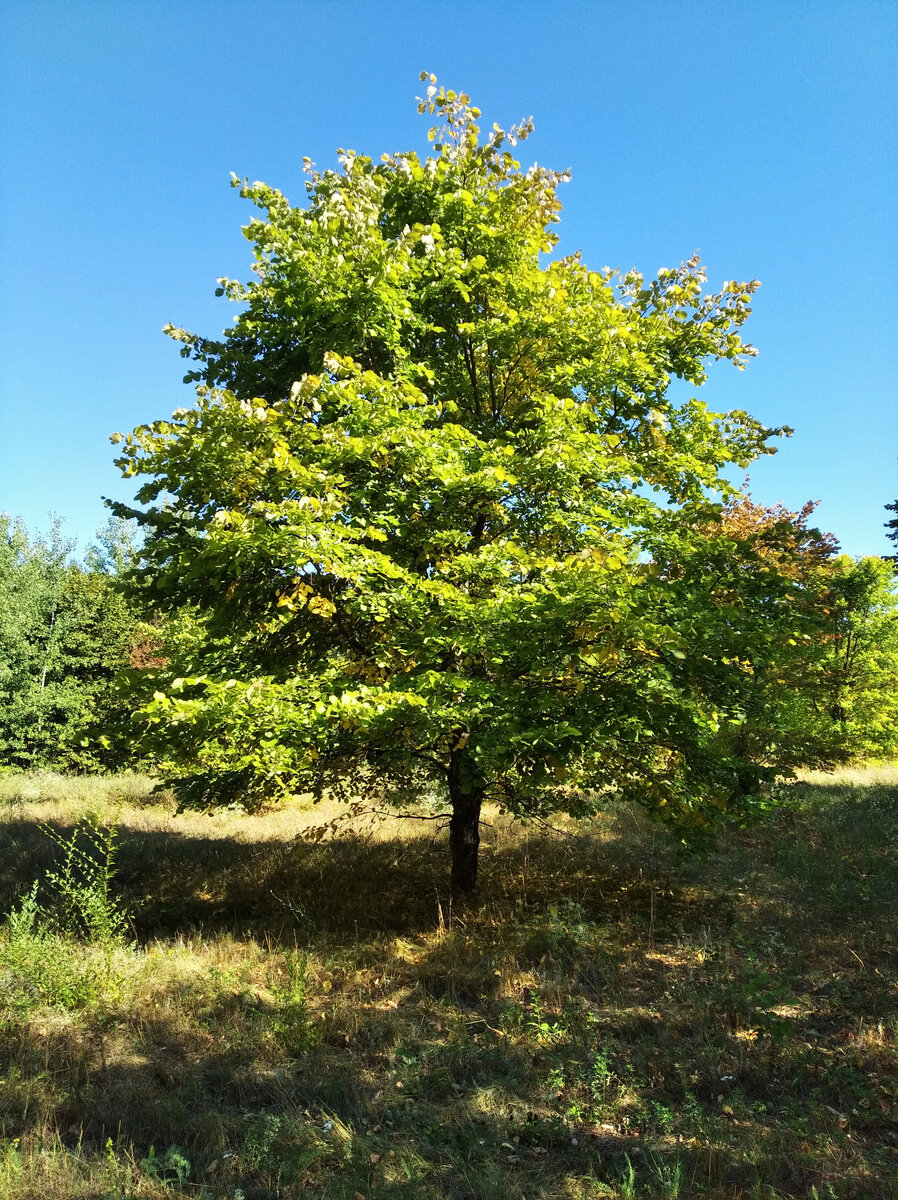 Фото из личного архива.