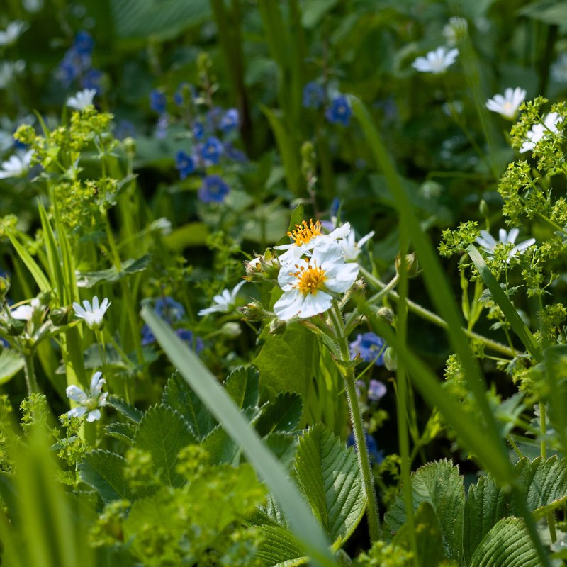 Фото Натальи Жуковой