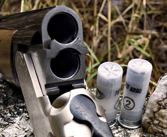 Источник фото: open.kg
