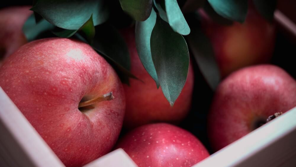 Влияет ли сорт яблок на скорость засушивания. Яблочный спас. Яблочный спас 2022. Яблоки спас. Десять яблок.