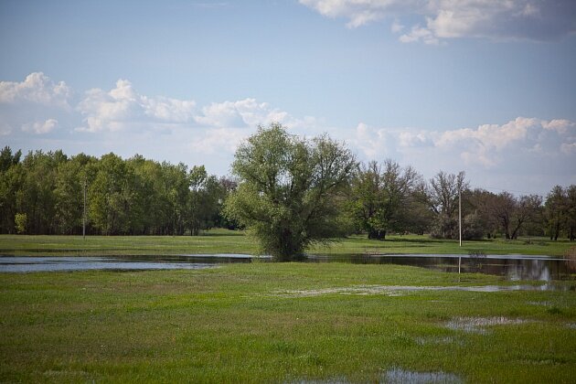 В уникальной природоохранной зоне предполагается организация среды, не имеющей прямых аналогов в мире