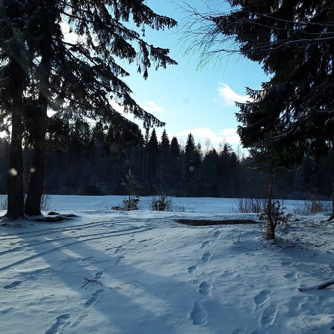 Зимние стрелки