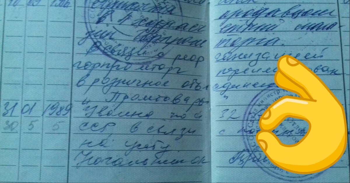 Уволили меня всего за один день, без обязательной отработки (повторное участие волшебницы в моей жизни, является доказательством того, что я сделала верный выбор). 