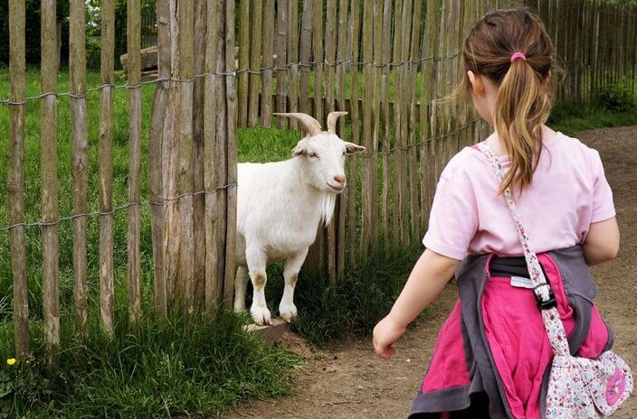 Девочка приехала в деревню