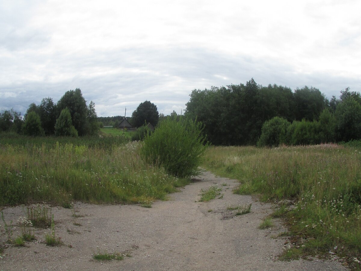 Вид на деревню с участка.