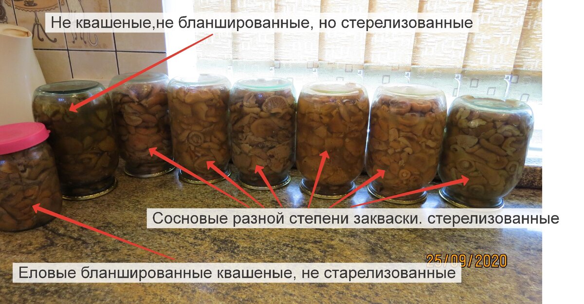 Мои эксперименты в этом году.
