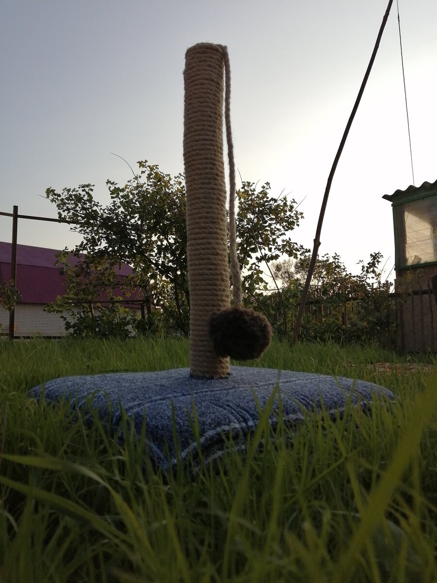 Когтеточка своими руками!)