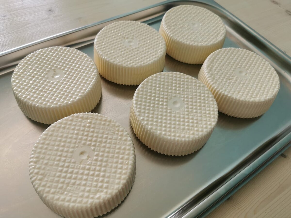 Как созревает молоко? Что это такое? | Сыроварня Елисеевых | Дзен