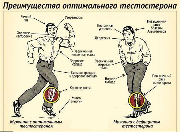 Картинка из интернета