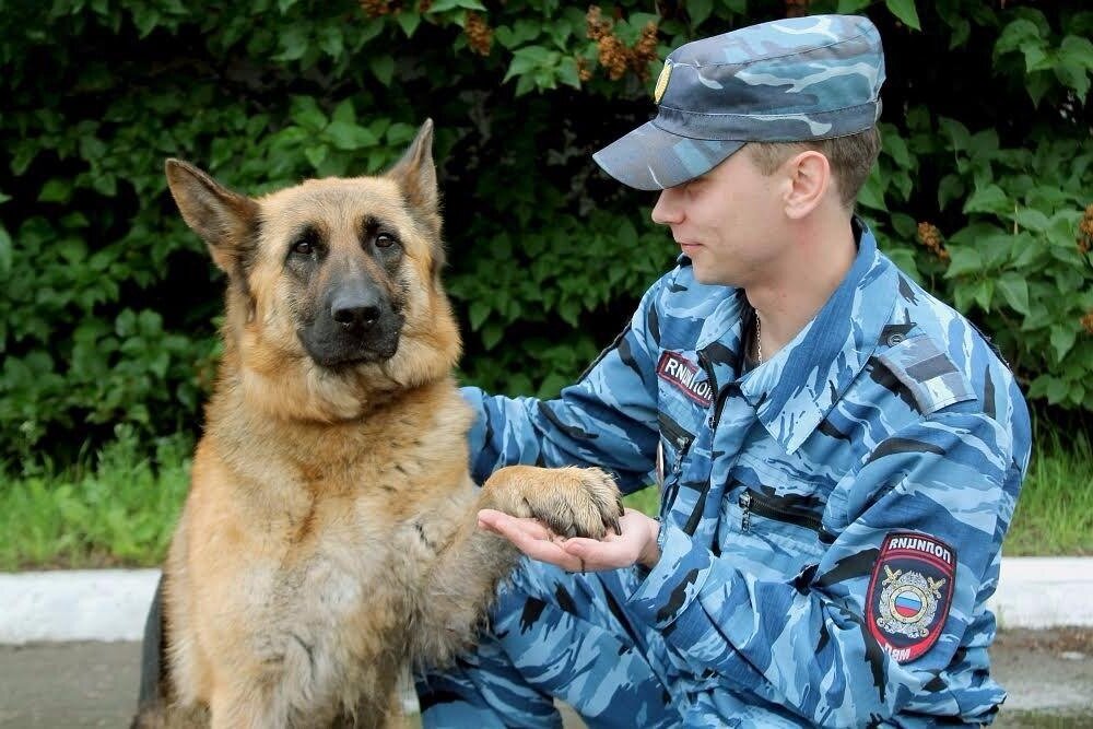 Кинолог МВД с немецкой овчаркой 