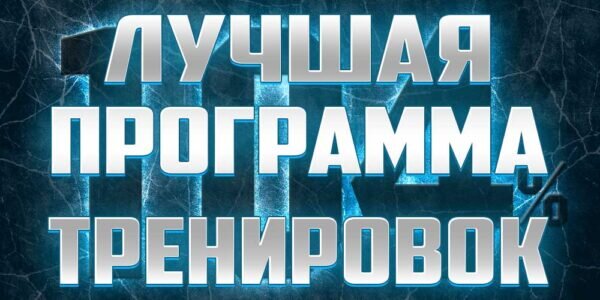 лучшая программа тренировок Дениса Борисова