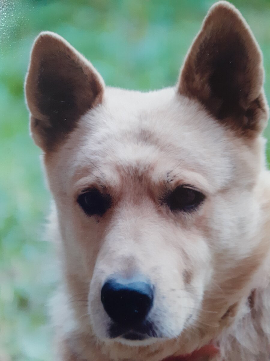 Буня, лето 2015 г.