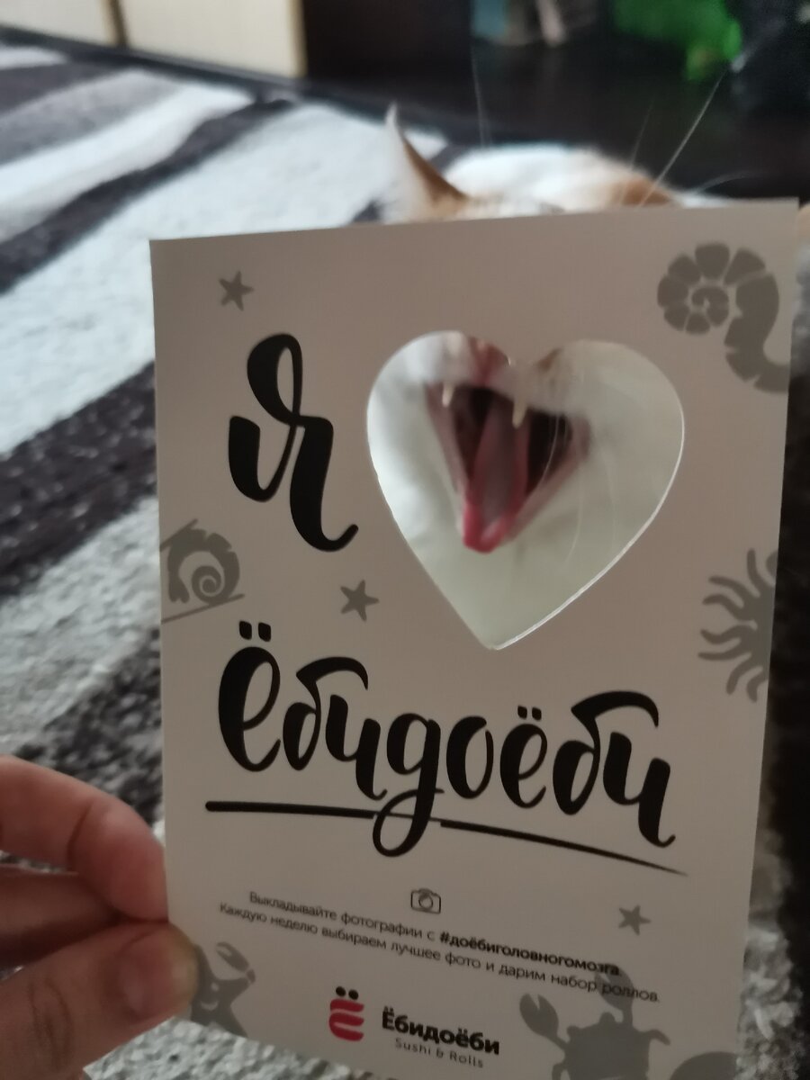 Котэ и суши