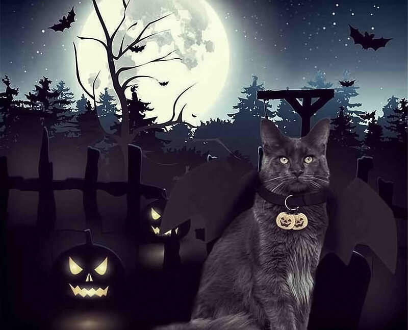 приметы и суеврерия