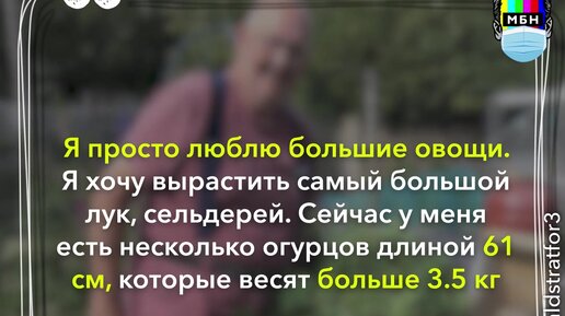 Овощи ( видео). Релевантные порно видео Овощи смотреть на ХУЯМБА