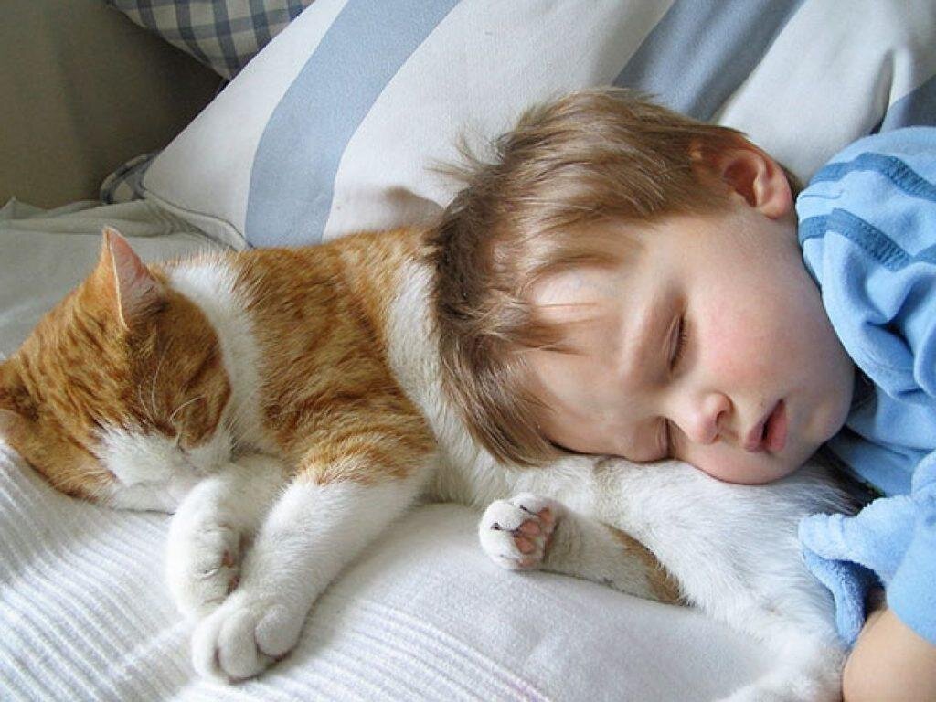 Кошка - охранник детских снов? (изображение с сервиса Яндекс.Картинки)