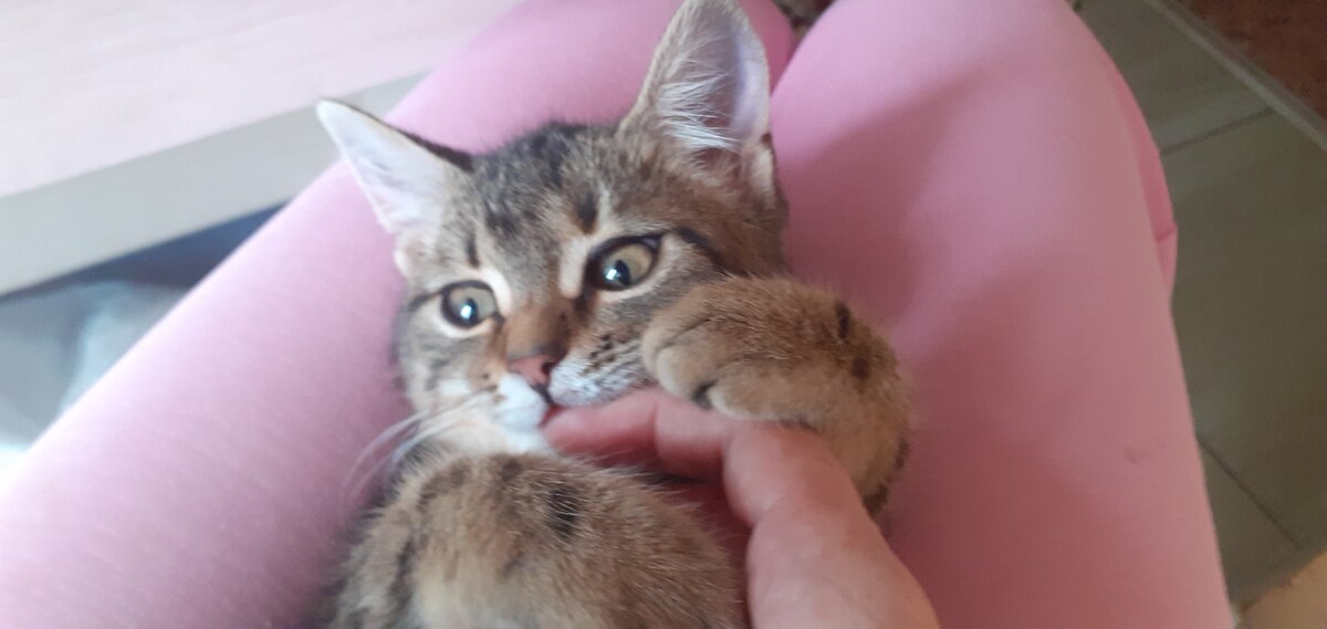 Кусаться так и не перестала, это её способ общения))