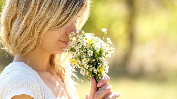 Фото из открытого источника Яндекс 