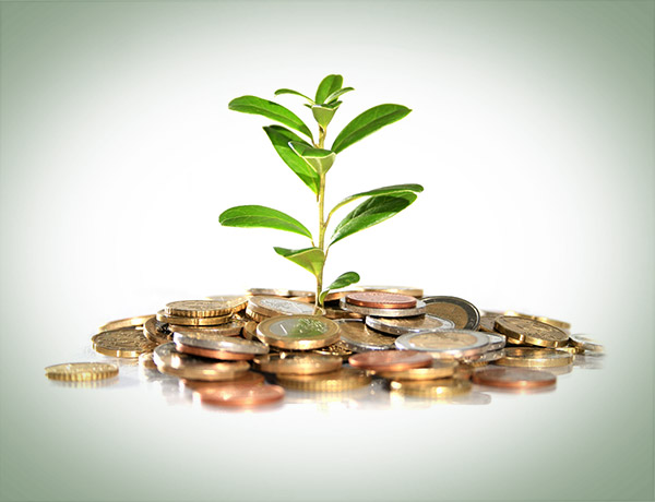 яндекс картинки