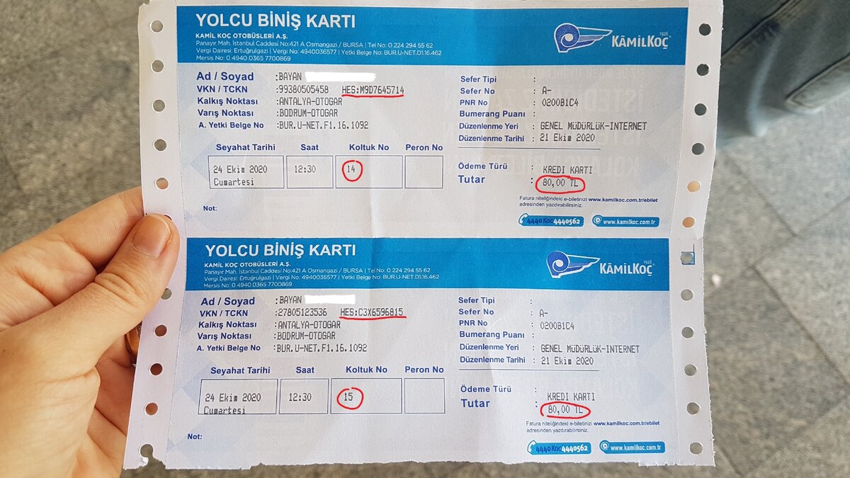 Можно билет в турцию. Билет в Турцию на 17 ноября. Билеты в Турцию по 450 тысяч.