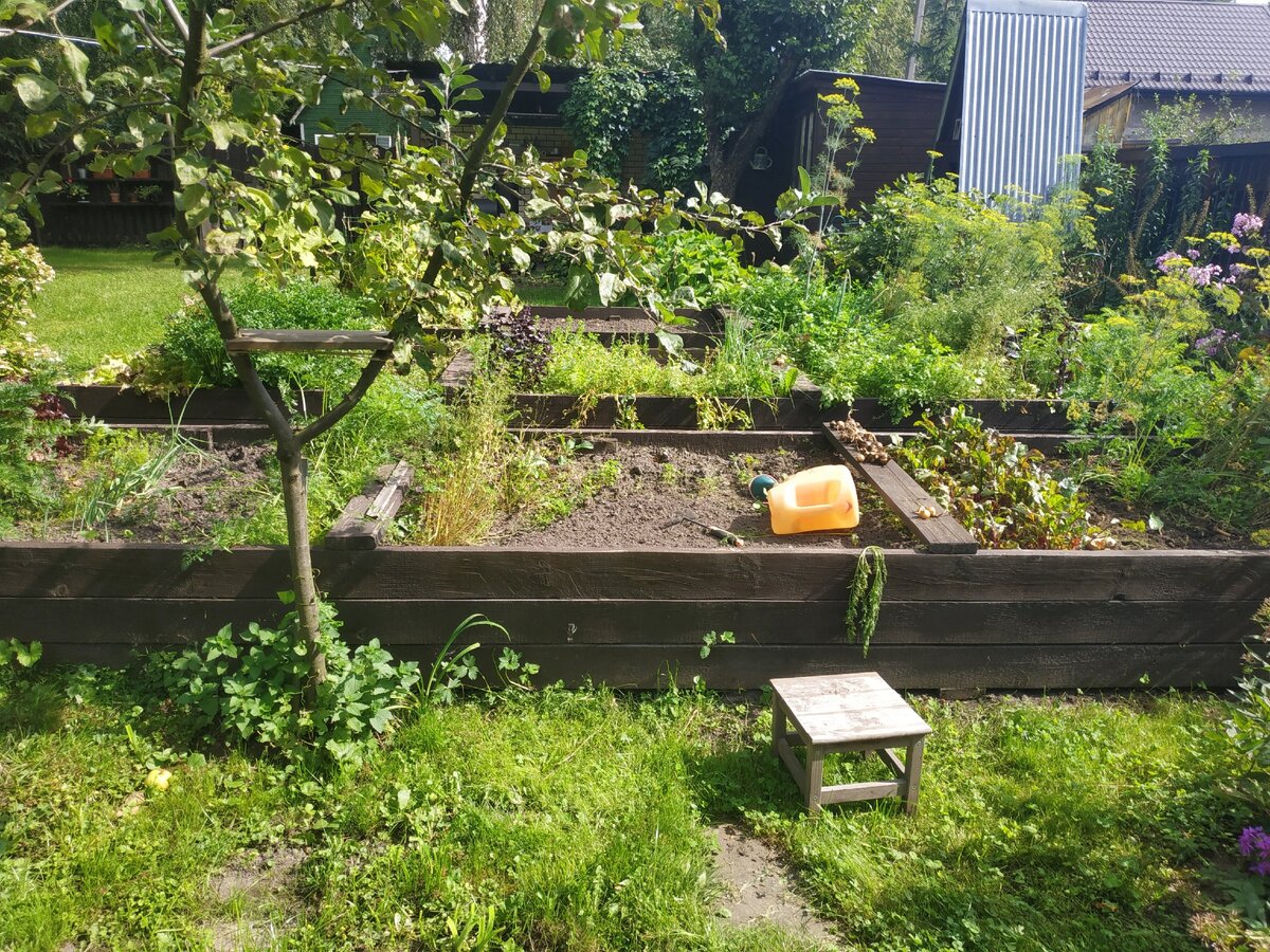 Сентябрь 2020 года. Грядки отстояли пятый сезон.