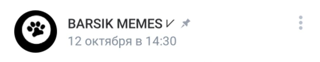 Ищи в поиске или переходи по ссылке